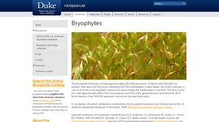 
                            4. Bryophytes | Herbarium - Duke Herbarium - Duke University