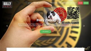 
                            6. Bully Pedex The Leading American Bully Breed Registry
