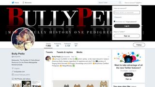 
                            7. Bully Pedia (@bullypedia) | Twitter