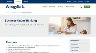 
                            4. Business Online Banking | Amegy Bank of Texas