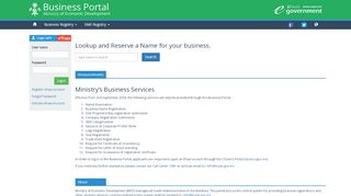 
                            5. Business Portal: Home