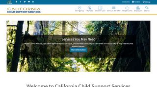 
                            9. CA Child Support Services