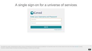 
                            1. Cerved ID