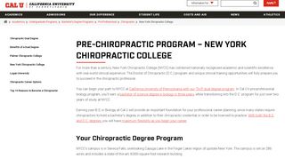 
                            9. Chiropractic Dual Degree | New York Chiropractic College