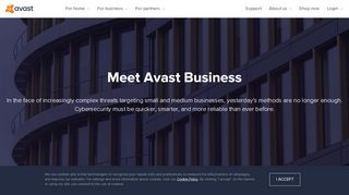 
                            6. Cybersecurity Products, Services, and Platforms | Avast Business