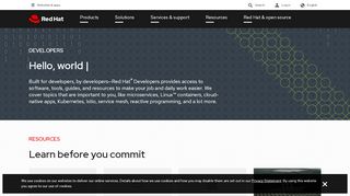 
                            2. Developers - Red Hat
