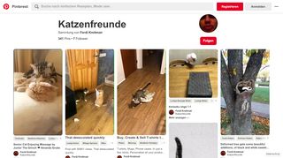 
                            8. Die 340 besten Bilder von Katzenfreunde in 2019 | Lustige ...