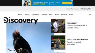 
                            3. Discovery Channel Shows and Articles | Discovery