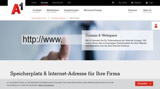 
                            2. Domain & Webspace | A1.net