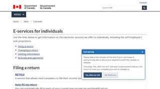 
                            4. E-services for individuals - Canada.ca