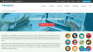 
                            2. Ecommerce Website Development | Online Store Development
