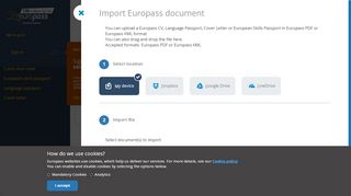 
                            3. Europass online editor