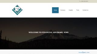 
                            3. financial advisors - kms