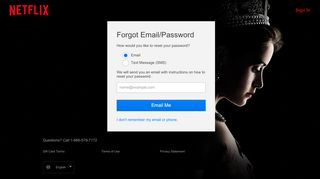 
                            2. Forgot Email/Password - Netflix