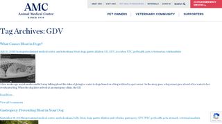 
                            8. GDV Archives - Animal Medical Center