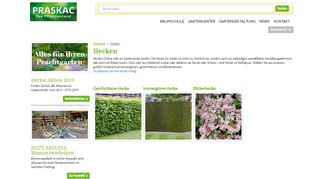 
                            5. Hecken | Online oder im Gartencenter kaufen | Praskac ...