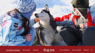 
                            5. Home Page - Dogma Dogma