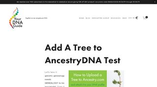 
                            9. How to add a pedigree chart to Ancestry — Your DNA Guide