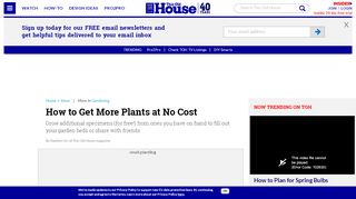 
                            6. How to Get More Plants at No Cost | How to Propagate Plants