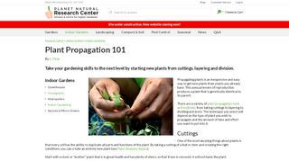 
                            7. How to Propagate Plants | Planet Natural