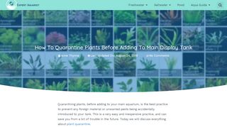 
                            7. How To Quarantine Plants Before Adding To Main Display Tank