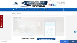 
                            9. Hyundai Blue Link | Team Hyundai