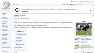 
                            7. Jacob sheep - Wikipedia