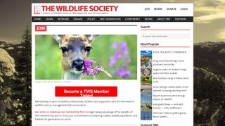 
                            6. JOIN | THE WILDLIFE SOCIETY