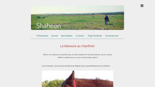 
                            6. Journal Archives - Shaheen