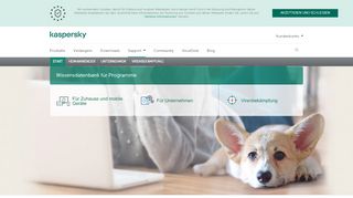 
                            7. Kaspersky Lab Technical Support