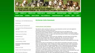 
                            3. Kleine Arche - Die Border Collie Datenbank anadune