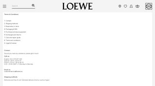 
                            4. LOEWE Terms & Conditions - LOEWE