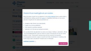 
                            1. Log veilig in met DigiD - Mijn Zilveren Kruis - …