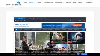 
                            7. Mantranews WordPress News Theme - Mantra Brain