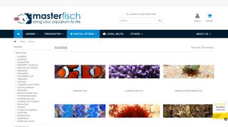 
                            4. Marine - Buy saltwater fish online - Aquatic shop - MasterFisch ...