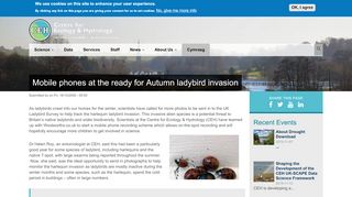 
                            8. Mobile phones at the ready for Autumn ladybird invasion | Centre for ...