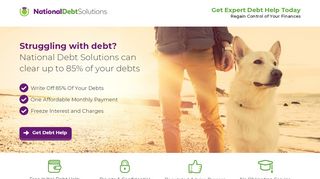 
                            3. National Debt Solutions
