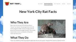 
                            8. New York City Rat Facts - Rat Trap Incorporated.