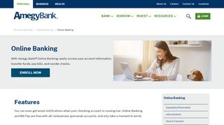 
                            2. Online Banking | Amegy Bank of Texas