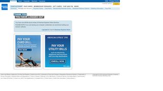 
                            4. Online Services: Logged out - American Express IN