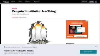 
                            4. Penguin prostitution is a real thing. A very short ... - The Atlantic