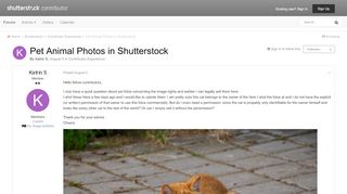 
                            5. Pet Animal Photos in Shutterstock - Contributor Experience ...