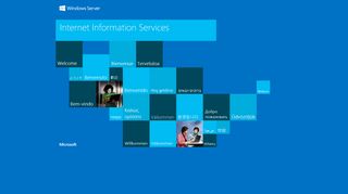 
                            3. portalhome.dph.illinois.gov - IIS Windows Server