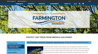 
                            7. Protect Ash Trees from Emerald Ash Borer - City of Farmington