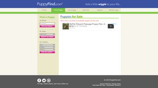 
                            2. Puppies for Sale by Login Franks - PuppyFind