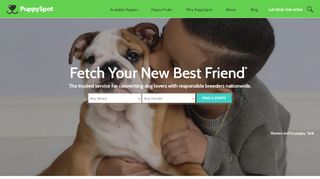 
                            5. PuppySpot: Find the Right Puppy for Your Family