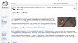 
                            6. Rats in New York City - Wikipedia