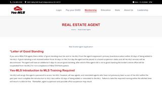 
                            1. Real Estate Agent – Yes MLS!