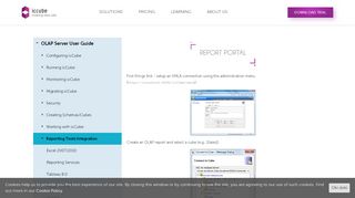 
                            7. Report Portal - icCube