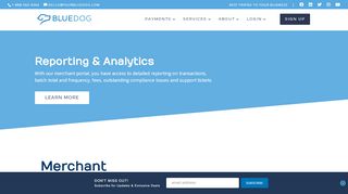 
                            1. Reporting and Analytics | Blue Dog Business Services